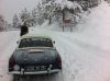 IMG_4819.jpg