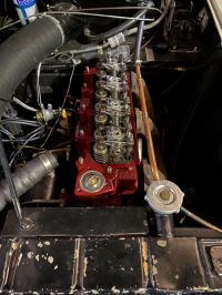 IMG_5206.jpeg