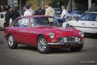 IMG_6022-1~4.jpg