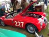 IMG_6234.jpeg