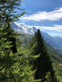 IMG_6294.jpg