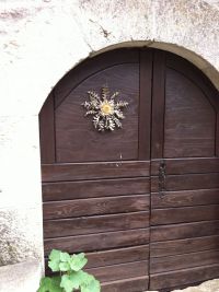 IMG_6493.jpg
