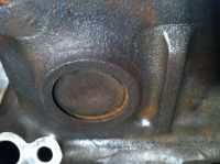 IMG_8372.JPG