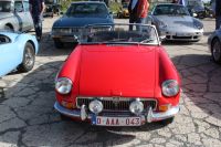 IMG_8405.jpg