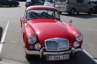 IMG_8740.jpg