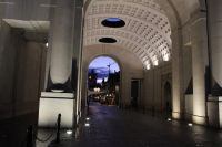 IMG_8982.jpg