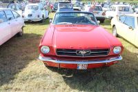 IMG_9816.JPG