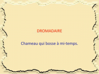 Image1_28129.png