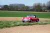 JONQUILLES_2012_2819829.JPG