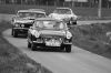 JONQUILLES_2012_28534291.JPG