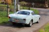 JONQUILLES_285729.JPG