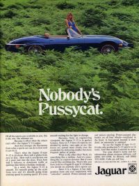 Jaguar_E.jpg