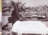 Johnny_JAGUAR_TYPE_E2C_3_litres_8~0.jpg