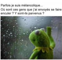 Nom du fichier=Kermit-question.jpg
Taille du fichier=32Ko
Dimensions : 612x601
Ajouté le : 01 Février 2019 Kermit-question.jpg