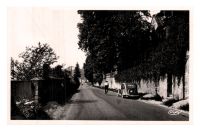 L_Isle_sur_le_Doubs_28Chateau_Meiner29.jpg