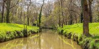 La-Baise-riviere-dans-le-Gers-.jpeg