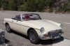 MGB1~1.jpg