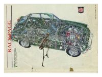 MG_B_GT_ecorche_vif.jpg