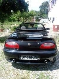 MG_F_back.jpg