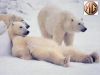 MG_Ours.jpg
