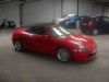 MG_Steph_002.jpg