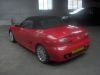 MG_Steph_0051.jpg