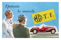 MG_TF__epatante_pub.jpg