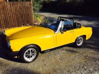 MIDGET~3.jpg