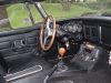 Mg_28329.JPG