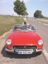 Mg_Rouge_1.jpg