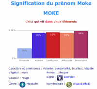 Moke.png