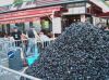 Moules.jpg