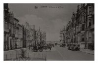 Ostende2C_Avenue_de_la_Reine_28Nels29.jpg
