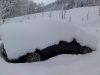 P01-12-09_11_50.JPG