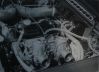 P1000640.JPG