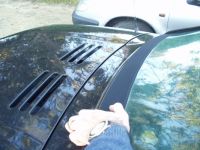 P1010134m~0.JPG
