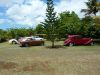 P1010636.JPG