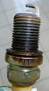 P1010736_-_Copie.JPG