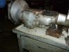P1030505_28Copier29.JPG