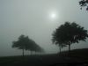 P6150004.JPG