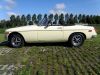 P7150229_-_Copie.JPG