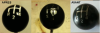 PETIT_NOIR.jpg