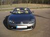 PICT0731a.JPG