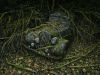 ParadiseParking_08_peterlippmann-600x450.jpg
