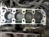 Photo0488.jpg