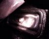 Photo_0068.jpg