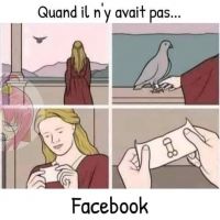 Pigeon.jpg