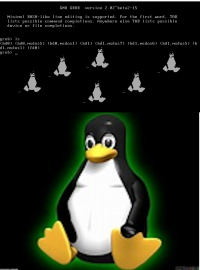 Pinguins.png
