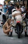 Pitstop.jpg