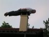 Planking.jpg